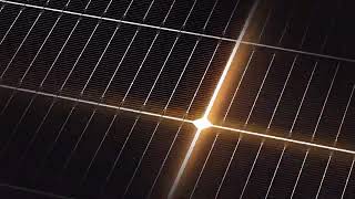 Miniatură video Panou fotovoltaic monocristalin TrinaSolar 455W  eficienta 22.8%