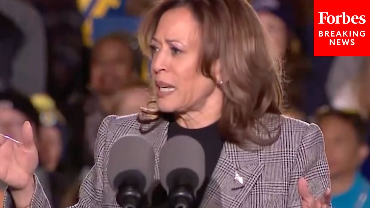 'Hey Guys, I Hear You': Kamala Harris Responds To Anti-Gaza War Hecklers At Michigan Rally