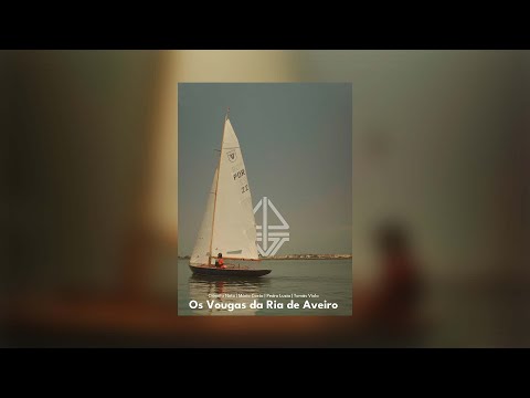 Os Vougas da Ria de Aveiro