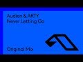Never Letting Go by Audien and Arty