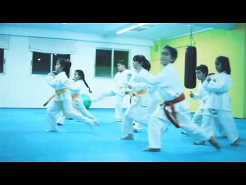 Gimnasio Almassora Celvic