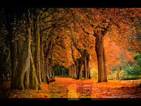 Мишко Талески - Сакај ме / Misko Taleski - Sakaj me