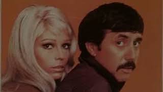 Did You Ever  NANCY SINATRA &amp; LEE HAZLEWOOD  (with lyrics)