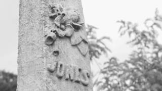 Jesse Dayton - Possum Ran Over My Grave (Official Video)