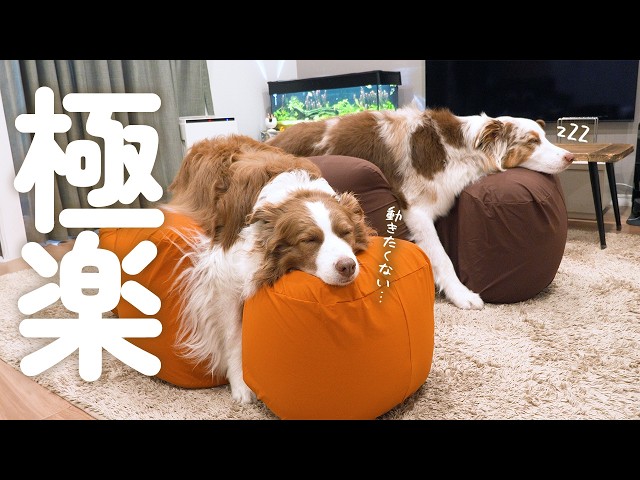 製品ムービー｜【ワンエイド】アロン化成
