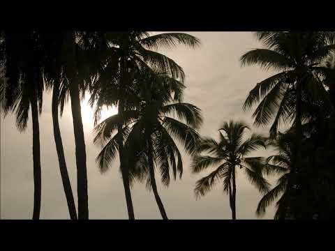 Yaman Khadzi - Yeah!