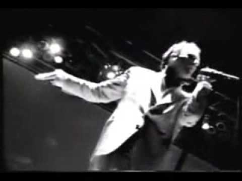 Videoclip de These Days (Live) — R.E.M.