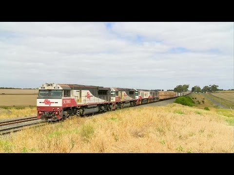 SCT Freight Train: Service PM9 - PoathTV Australian Trains & Railways 2017