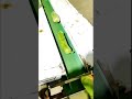 multi-function automatic turnip radish packing machine