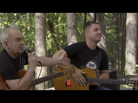 Трио Балканске жице / Trio Balkan strings // +381 Sirogojno World Music Festival