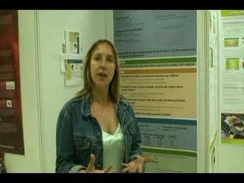 Washington Dc Sex Work And Harm Reduction
