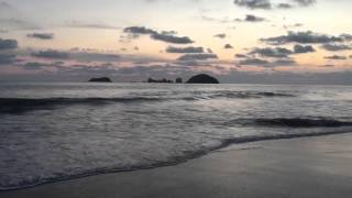 Stardust by New Politics