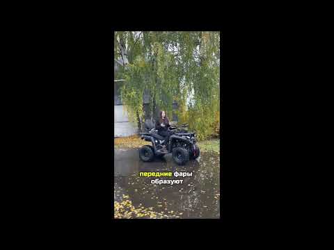 Миниатюра изображения товара Квадроцикл AVM Adventure 250 (черный)