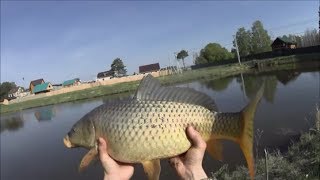 щука на тавде видео щука на тавде видео