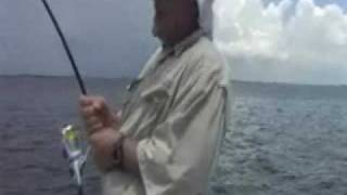 preview picture of video 'Unexpected Tarpon, Ft Myers, FL'