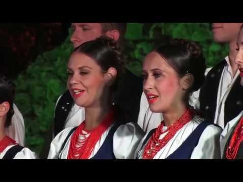 DALMACIJA MOGA OKA 12.08.2019