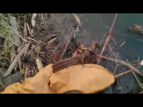 October 24, 2025   Part 2 (First Check in Paradise)