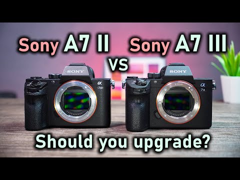 Sony A7 III vs A7 II 📸 Should You Upgrade? Full Comparison!