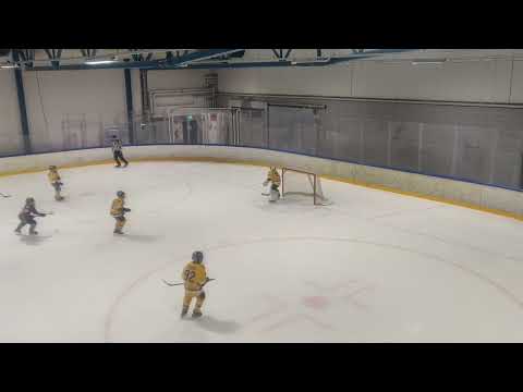 K-Kissat Bears 6-12 HC Tornaado