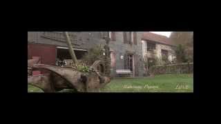 Julien Doré Habemus Papaye Anne Gauché Violon