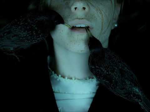 Frans Bak - Forbrydelsen (main theme)