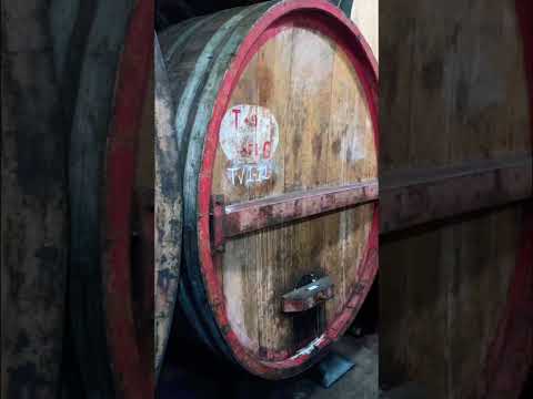 Napa Valley: excursão pela vinícola Mayacamas Vineyards #napavalley #wine