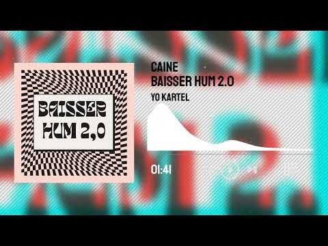 Mr.Drespoir & Caine & Yo Kartel - Baisser Hum 2.0 ( Official Audio )