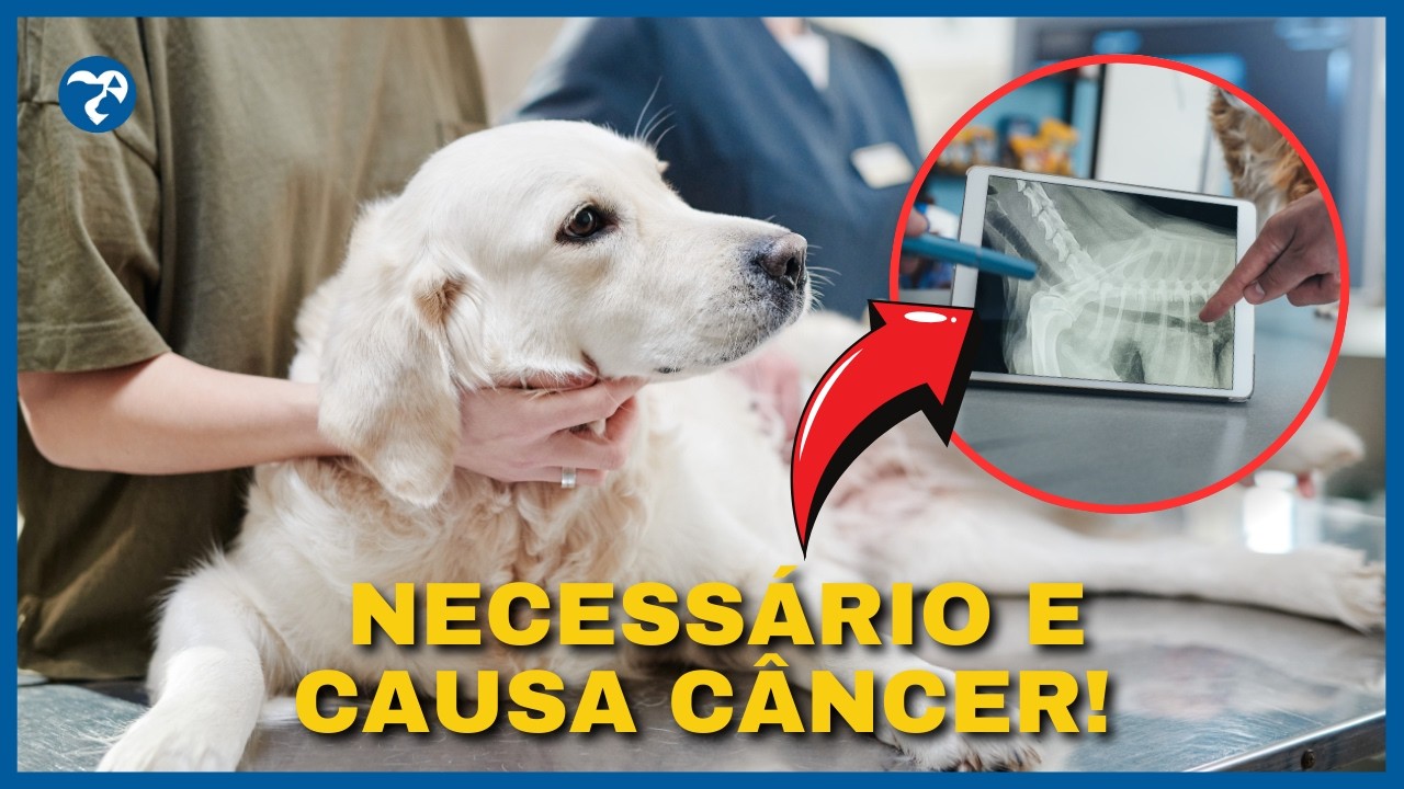 EXAME FEITO NA CLÍNICA QUE CAUSA CÂNCER. Avalie se Realmente Há Necessidade de Fazer.