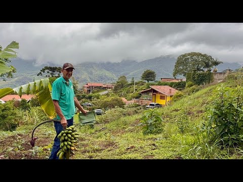 ￼ Vicente Sertão com suas próprias mãos deu vida a este lugar e com muita fartura…