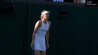 シャラポワ揺れすぎ注意