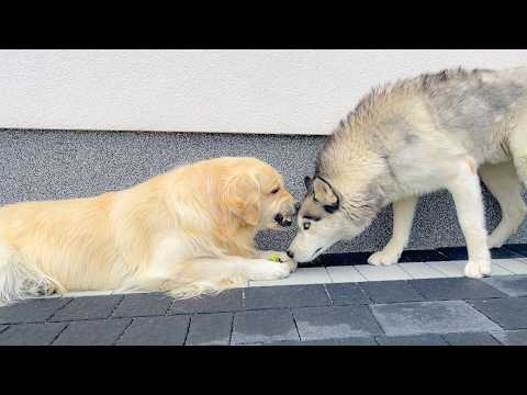 YouTube 썸네일