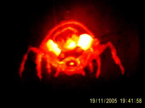 Crowning Music Of Awesome - "Pokey Means Business!"