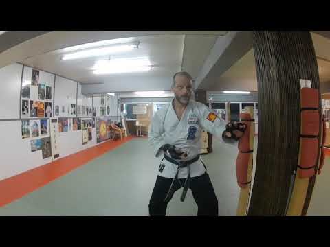 Shuto uchi und  Haito uchi am Makiwara erklärt