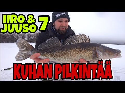 JUUSO & IIRO VOL7 | KUHAN PILKINTÄ JIGILLÄ | HURJA SYÖNTI