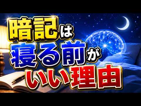 暗記は寝る前にやると記憶が定着しやすい！？睡眠と記憶の関係