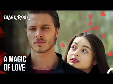 A Love Story: The Stubborn Girl, The Relentless Boy! 💕 | Black Rose