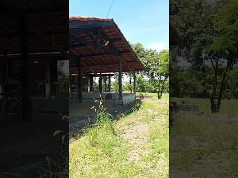 Sítio à venda / Interior de São Paulo / Alambari - SP  / 15 Alqueires / Documentação OK