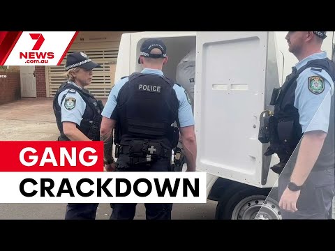 Police blitz targets youth gangs | 7NEWS
