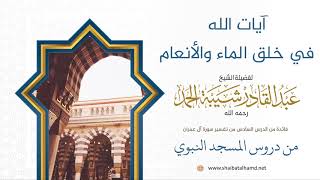 صورة 80 آيات الله في الماء والأنعام - الشيخ عبدالقادر شيبة الحمد رحمه الله