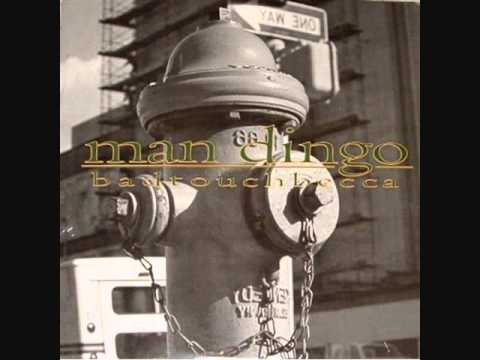 Thumbnail for Man Dingo - My Stereo by The Cooper Temple Clause