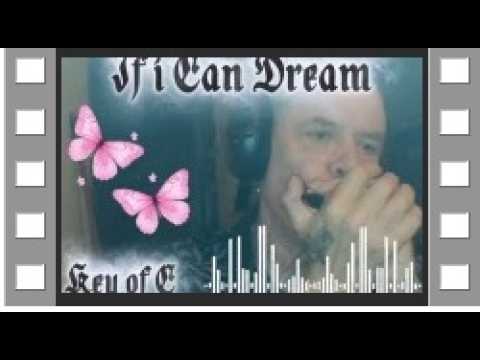If I Can Dream