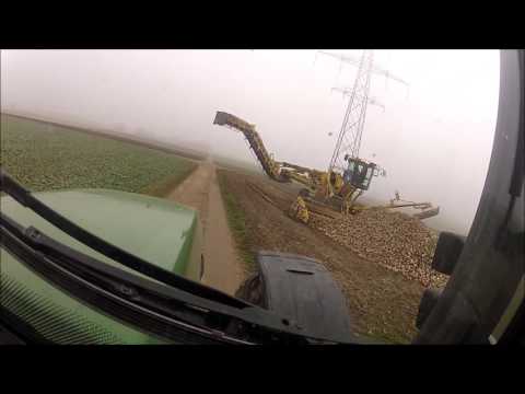 TRANSBETT // Campagne 2016 à Chavornay VD