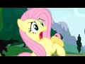 Fluttershy - yay 