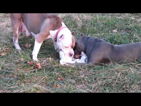 diva and daija video 023