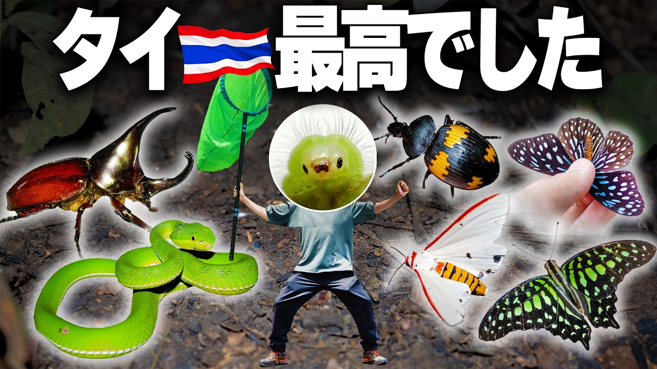 タイ、最高でした