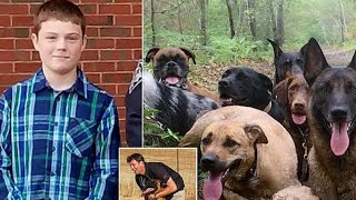 Teenage boy, 14, mauled to death by dogs he was taking care of while trainer owner was away