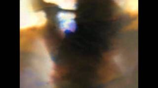 Animal Collective - I Think I Can