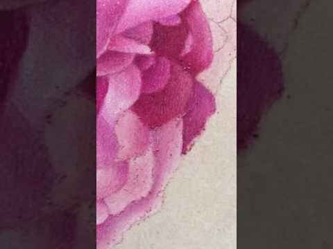 Thumbnail of blending fine details with coloured pencil blending powder