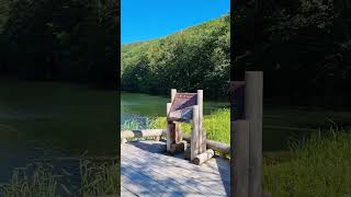 青森・蔦沼を歩く！美しい森と沼をめぐる散策