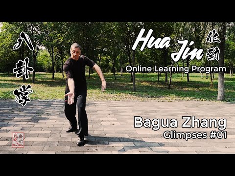 Bagua Zhang Glimpses #01 - Hua Jin Online Learning Program